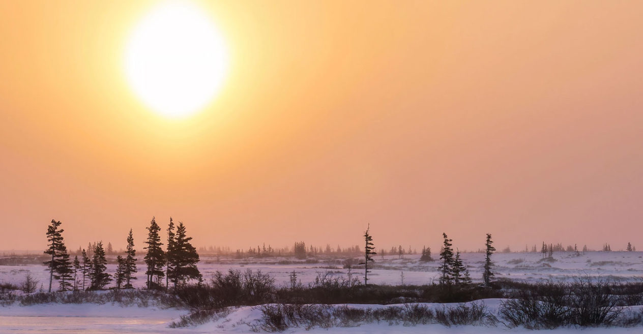 Holographic Wills Tradition Law LLP